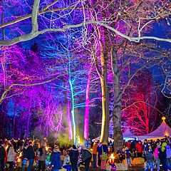 Winterzauber im Stadtpark, die Bäume sind bunt beleuchtet, viele Besucher