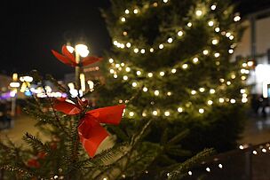 Frohe Weihnachten und besinnliche Feiertage