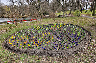 frisch gepflanztes Beet im Stadtpark