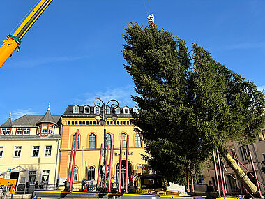 Aufstellen der Weihnachtsbäume im Vorjahr, hier - vor dem Rathaus. Aufstellen der Weihnachtsbäume im Vorjahr, hier - vor dem Rathaus.