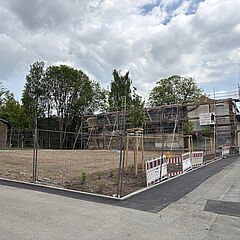 Baumpflanzungen Mai 2025