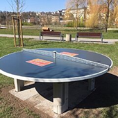 runde Tischtennisplatte