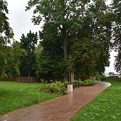 Weg mit Sitzbänken und Wiese