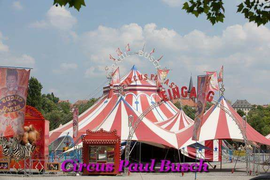 Circus Paul Busch