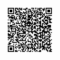 QR Code für Kleine Welt – große Geschichte(n). Puppenstuben und Puppenküchen im Spiegel der Zeit