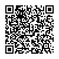QR Code für Die verzauberten Brüder
