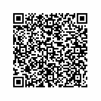 QR Code für Kleine Welt – große Geschichte(n). Puppenstuben und Puppenküchen im Spiegel der Zeit