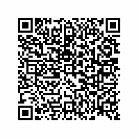 QR Code für Kleine Welt – große Geschichte(n). Puppenstuben und Puppenküchen im Spiegel der Zeit