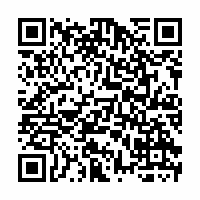 QR Code für Die verzauberten Brüder