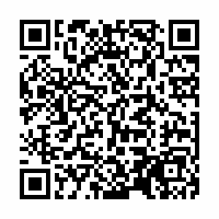 QR Code für Die verzauberten Brüder