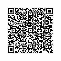 QR Code für Kleine Welt – große Geschichte(n). Puppenstuben und Puppenküchen im Spiegel der Zeit