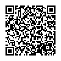 QR Code für Die verzauberten Brüder