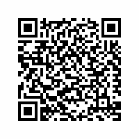 QR Code für Eisige Tage