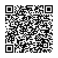 QR Code für Reichenbacher Bürgerfest