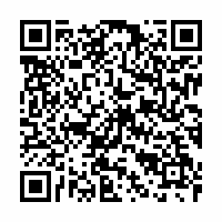 QR Code für Fasching