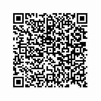 QR Code für Kleine Welt – große Geschichte(n). Puppenstuben und Puppenküchen im Spiegel der Zeit