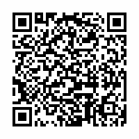 QR Code für Blaulichtfete