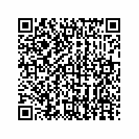 QR Code für Kleine Welt – große Geschichte(n). Puppenstuben und Puppenküchen im Spiegel der Zeit