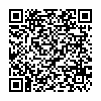 QR Code für 95 Jahre Zeppelinlandung