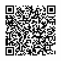 QR Code für 8. Sinfoniekonzert