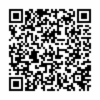 QR Code für Lessing im Porträt