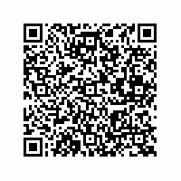 QR Code für Kleine Welt – große Geschichte(n). Puppenstuben und Puppenküchen im Spiegel der Zeit