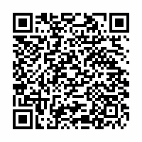 QR Code für 8. Sinfoniekonzert