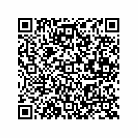 QR Code für Kleine Welt – große Geschichte(n). Puppenstuben und Puppenküchen im Spiegel der Zeit