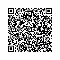 QR Code für Kleine Welt – große Geschichte(n). Puppenstuben und Puppenküchen im Spiegel der Zeit