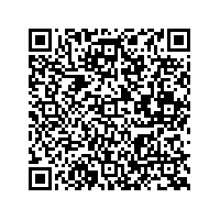 QR Code für Kleine Welt – große Geschichte(n). Puppenstuben und Puppenküchen im Spiegel der Zeit